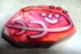c0030363_4335917.jpg