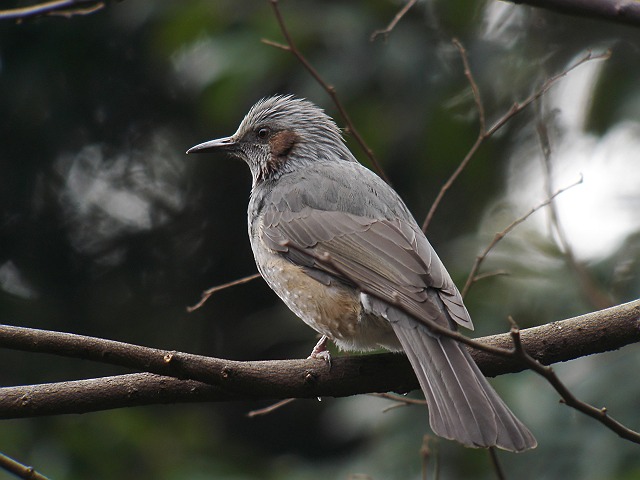 b0069564_16573253.jpg