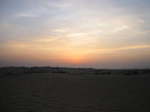 b0042274_11532719.jpg