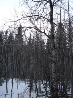 b0060587_14361625.jpg