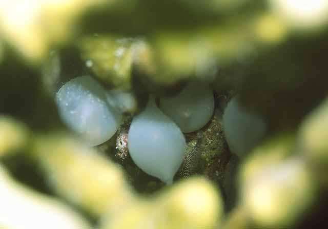 c0035399_23401737.jpg
