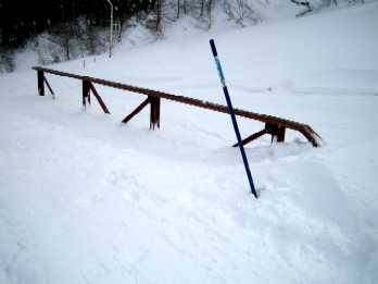 a0005233_21515516.jpg