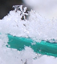 b0008366_2313481.jpg