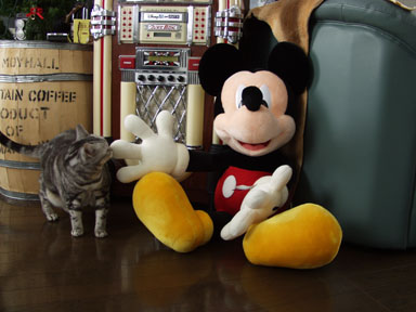c0026870_11563779.jpg