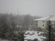 b0043974_1063774.jpg