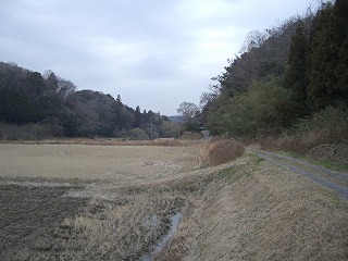 c0012304_2231688.jpg