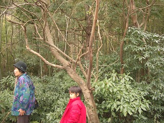 c0012304_235619.jpg