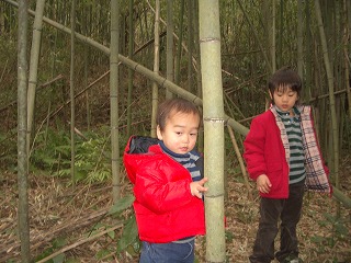 c0012304_2371772.jpg