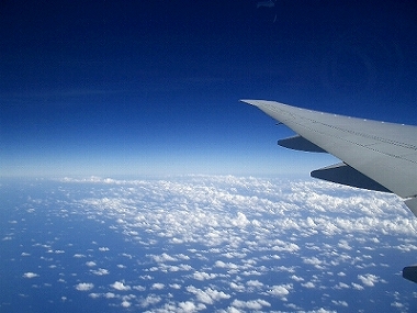 a0036412_001885.jpg
