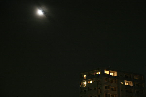 c0030717_23425850.jpg