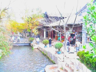 c0039428_15544244.jpg