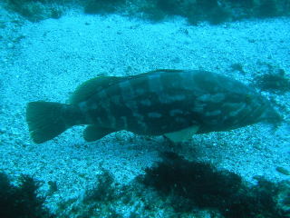 c0034029_20545264.jpg