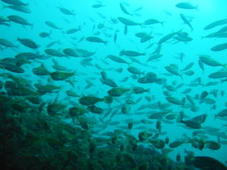 c0034029_21124612.jpg