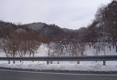 b0024435_20363963.jpg