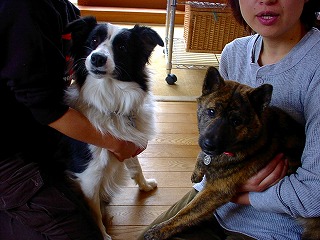b0003270_2111443.jpg