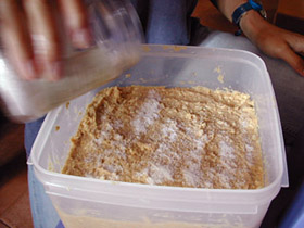 c0009070_19364769.jpg
