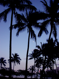 b0001980_20144970.jpg