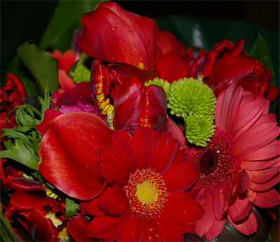 c0026612_13481317.jpg
