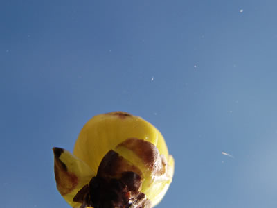 c0021726_2172830.jpg