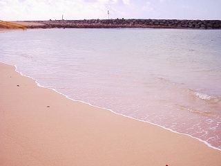 b0006329_15275716.jpg