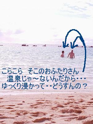b0006329_15314281.jpg