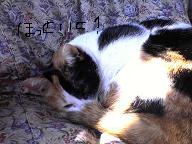 c0009287_13123598.jpg