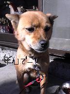 c0009287_1312531.jpg