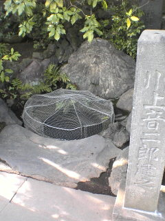 b0018694_1919176.jpg