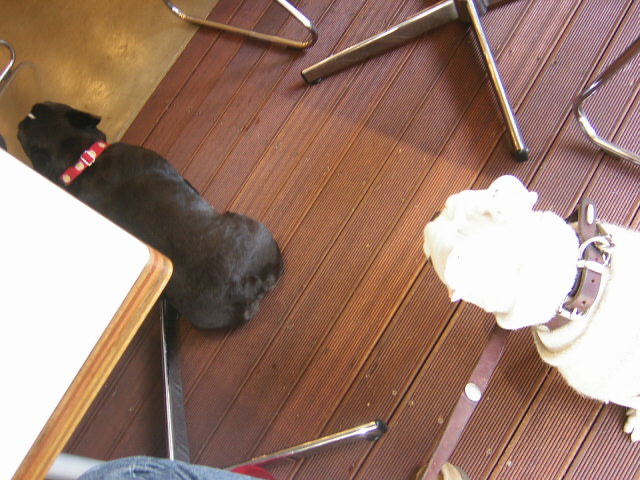 b0034595_17385517.jpg