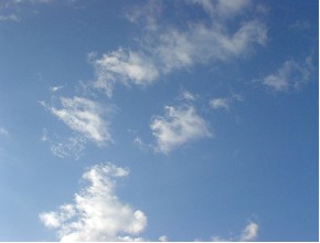 c0016642_18474616.jpg