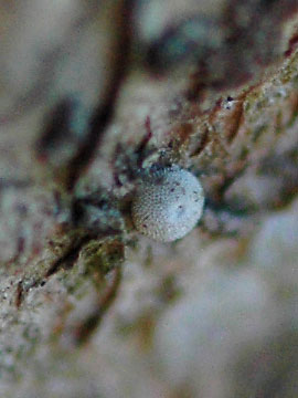 c0043361_224938.jpg