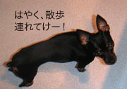 c0012571_18501512.gif