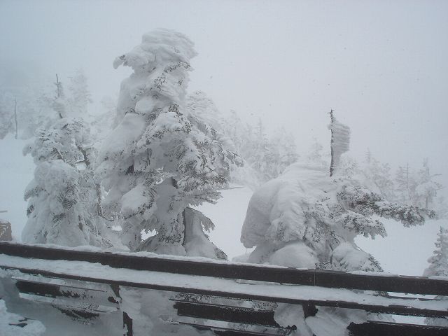b0051706_12583250.jpg
