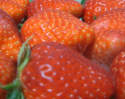 c0017311_8302858.jpg