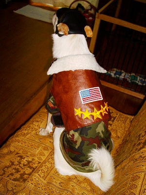 b0006329_222353100.jpg