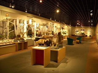 a0016346_20384063.jpg