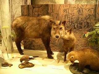 a0016346_20413736.jpg