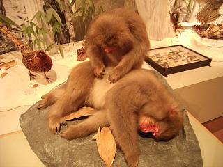a0016346_2042766.jpg