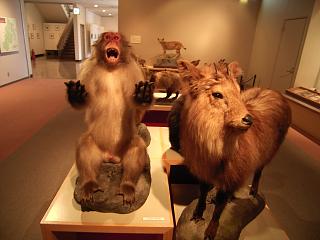 a0016346_20515345.jpg