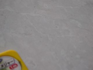 a0003618_1322656.jpg