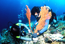 c0037447_017209.jpg