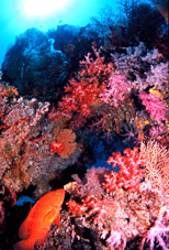 c0037447_037506.jpg