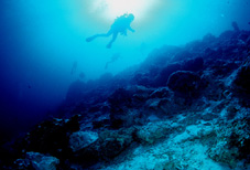 c0037447_041106.jpg