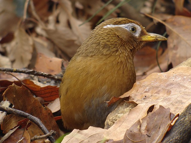 b0069564_21525445.jpg