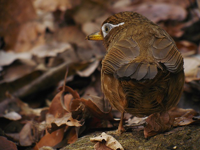 b0069564_21554983.jpg