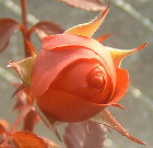 b0009665_023033.jpg