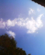 c0026178_16554918.jpg