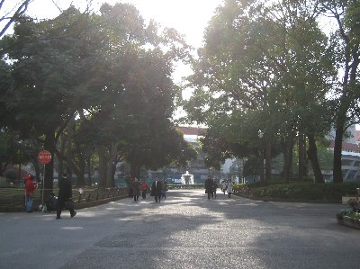 b0007389_23131227.jpg