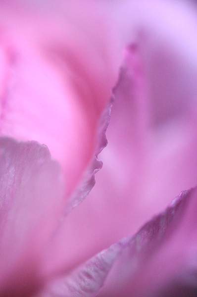 b0067789_873241.jpg