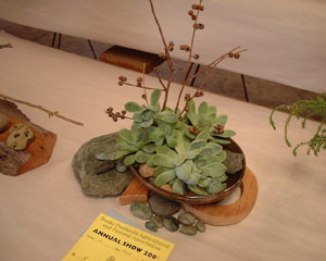 b0040606_17164968.jpg